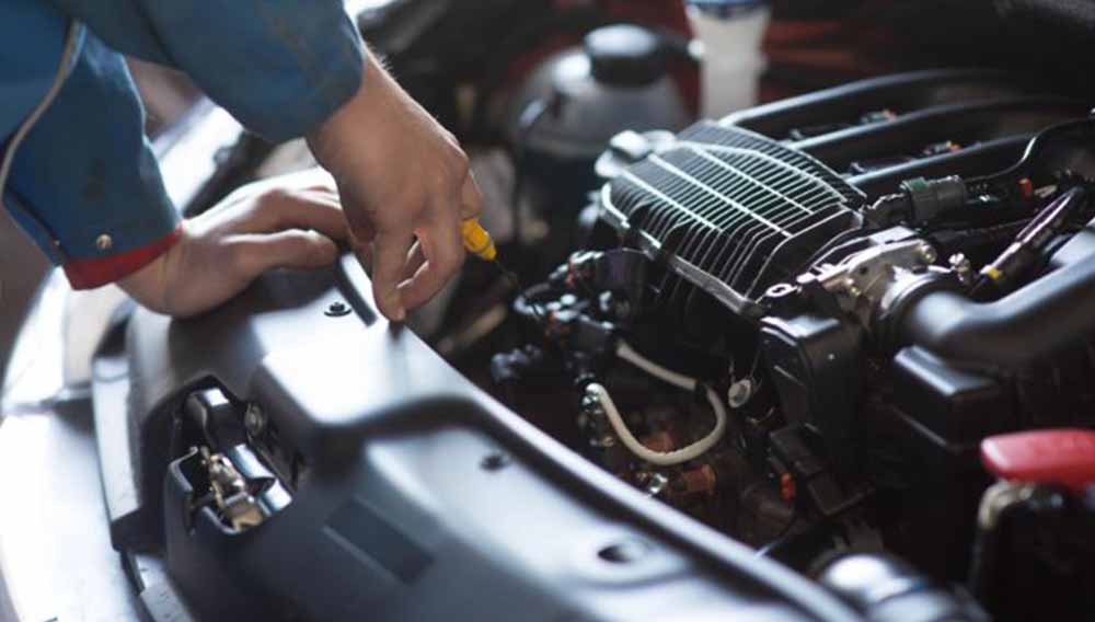 sandgate autoelectrics major servicing