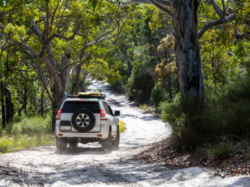Aussies Love Life Behind the Wheel