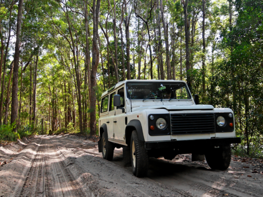 Top 4wd destinations